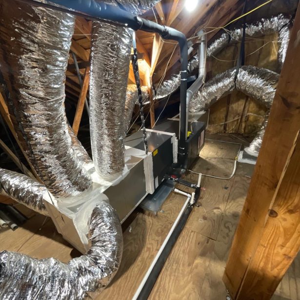 b4ecc107-efce-4922-8bec-eccf30bb8140