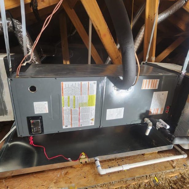 fea110a1-adab-4334-a8b4-398a4a148d8b